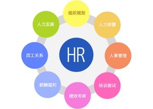 行政管理、人力資源管理、工商企業(yè)管理 企業(yè)管理三大領(lǐng)域的比較與選擇