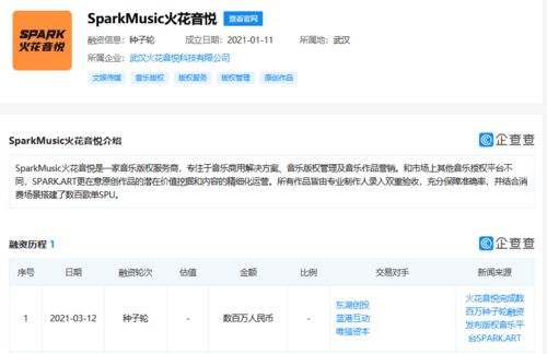 火花音悅獲數百萬種子輪融資，以數據處理服務為引擎，加速音樂版權市場布局